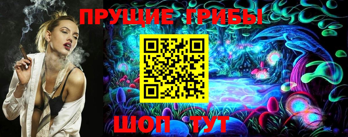 где найти   Вход с VPN  Энгельс  Псилоцибиновые грибы Psilocybine cubensis  Псилоцибиновые грибы Magic Shrooms 