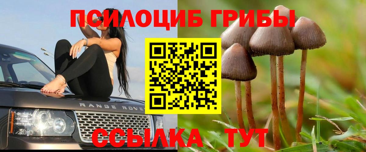 Галлюциногенные грибы мицелий Энгельс